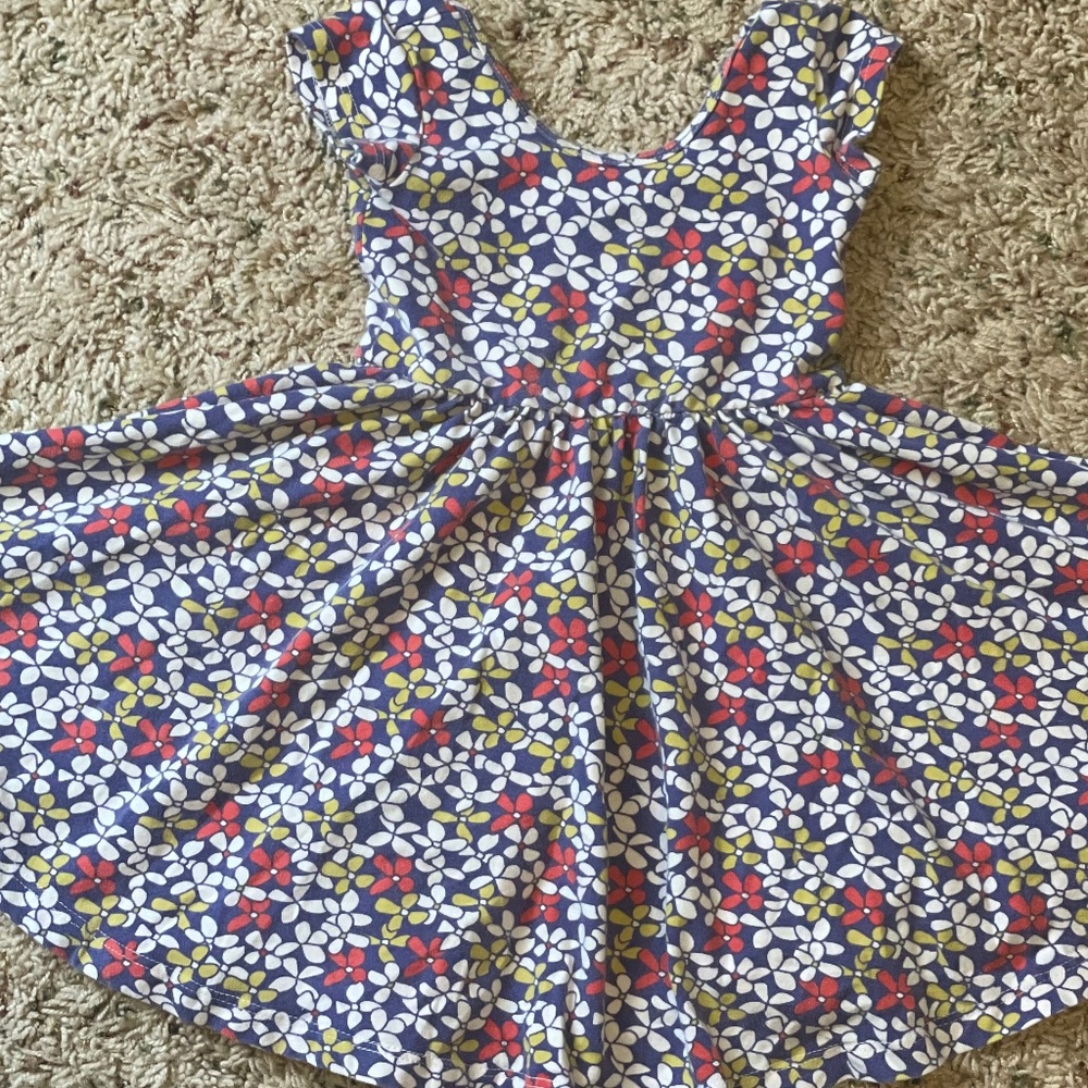 Alice & Ames floral twirl dress 3T